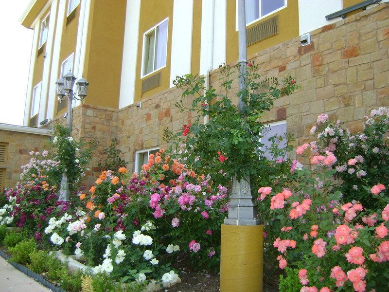 Blanco River Hotel Dış mekan fotoğraf