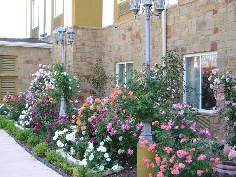 Blanco River Hotel Dış mekan fotoğraf